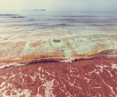 Beachfront view of the ocean with waves gently rolling onto sandy shore against a clear sky.